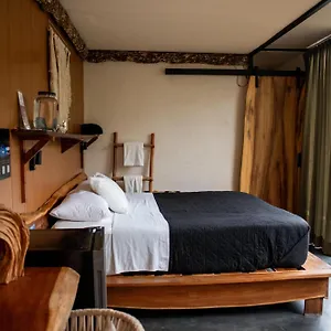 2* Отель Bufo Alvarius